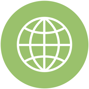 website-icon-site